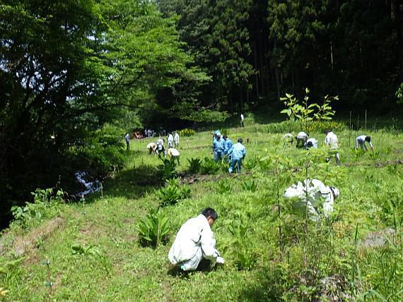 御前山ビオトープ育成活動への参加（茨城県）