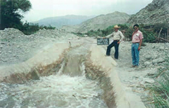 1991-1-3.jpg