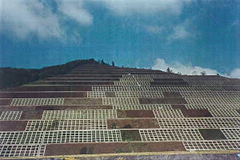 1994-1-2.jpg
