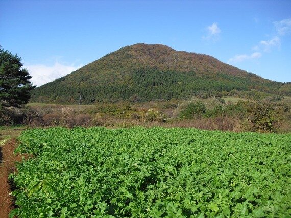「薬莱山麓地区」耕作放棄地解消活動への参加（宮城県）